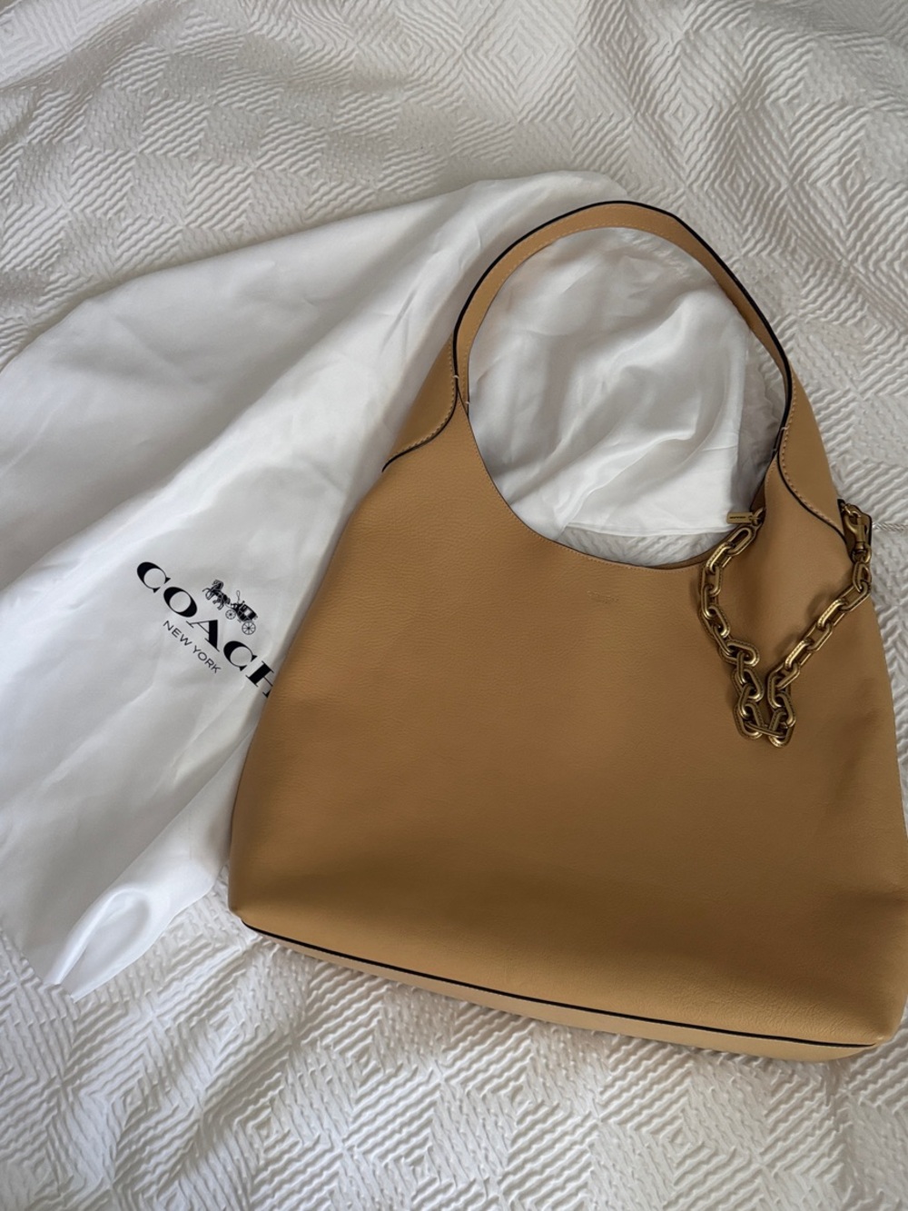 Coach Brooklyn 39 Leather Shoulder Bag (including gold chain as a free gift)